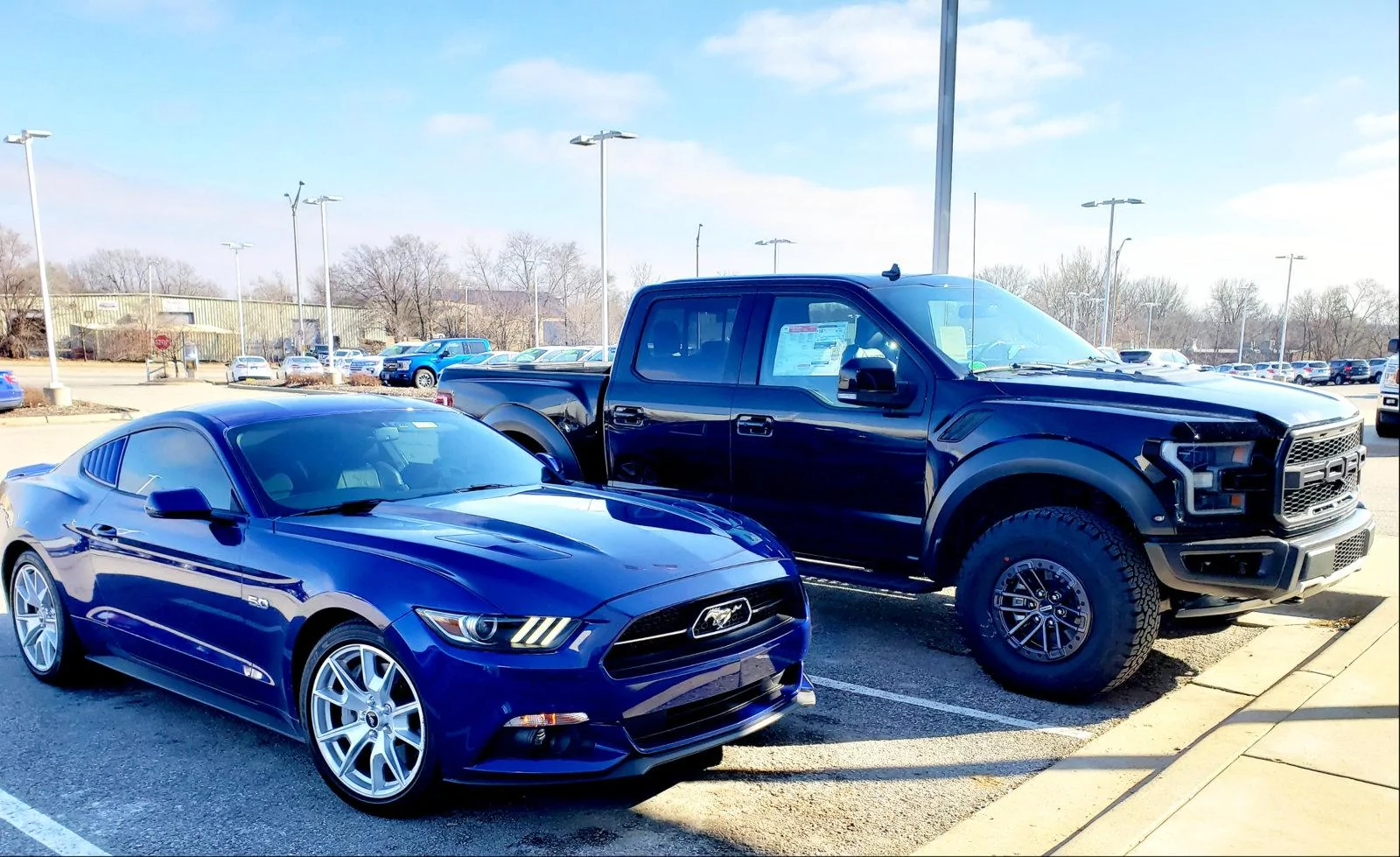 PhotoEditor_20190205_092641487.webp