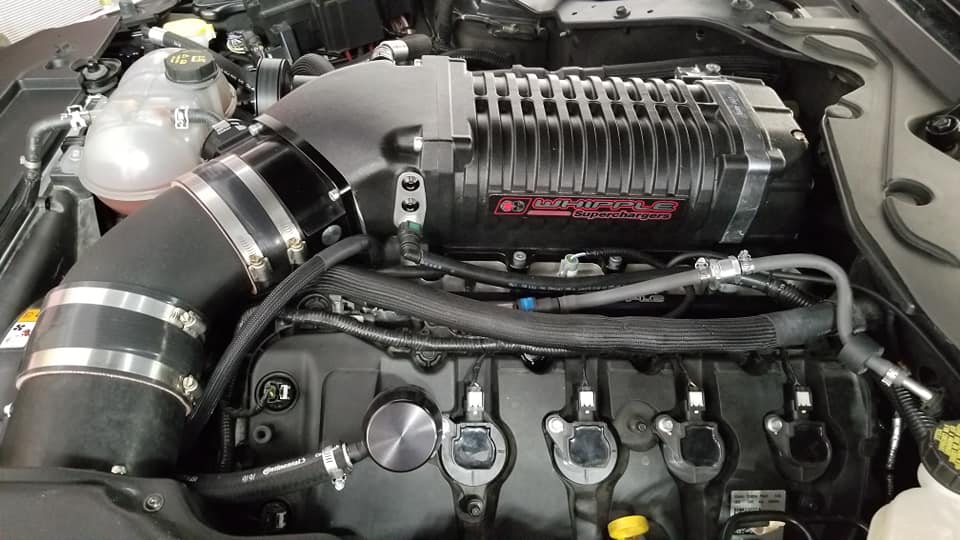 Check Valve 1.jpg