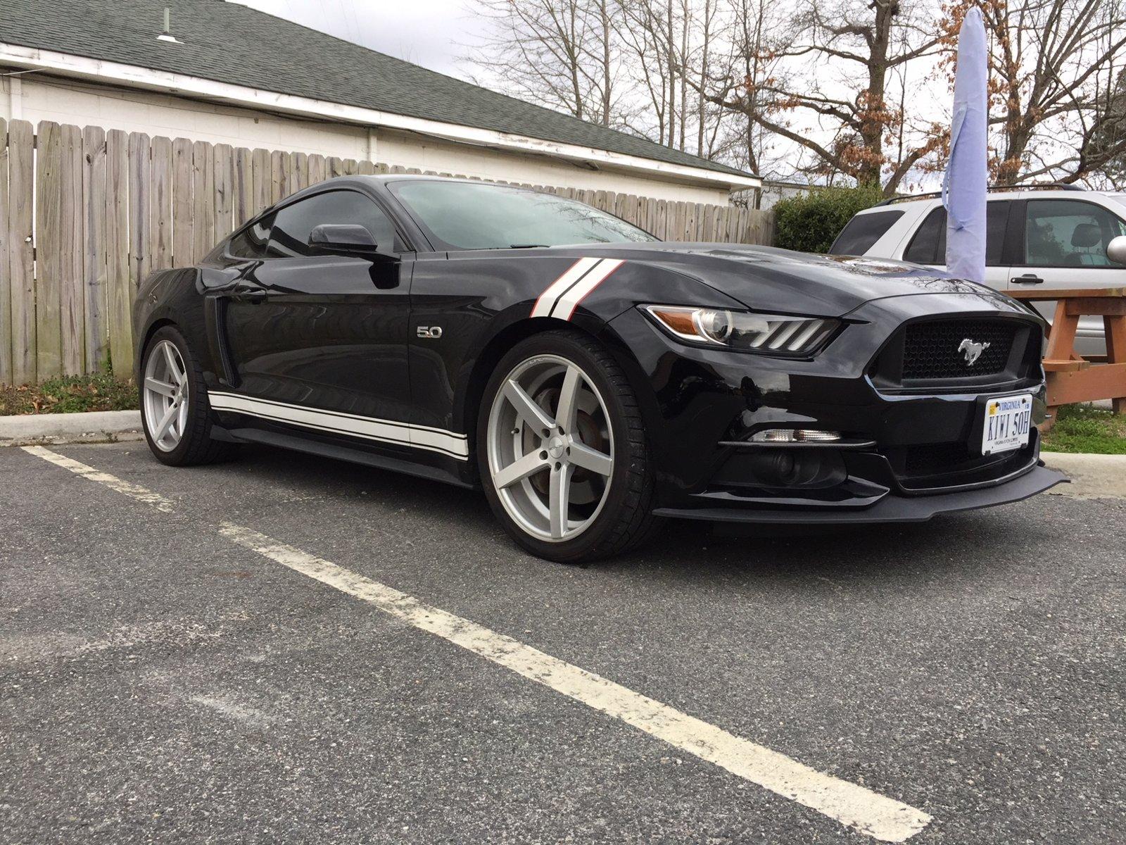 Mustang3.jpg
