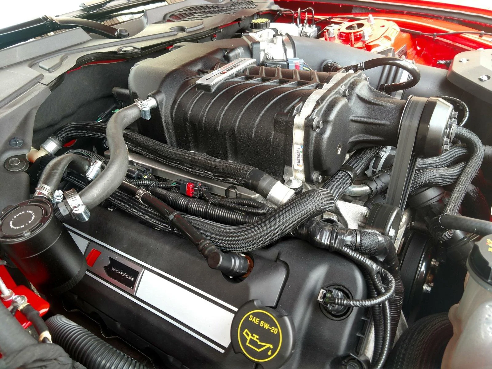 IMG_20190210_131931061_HDR.webp