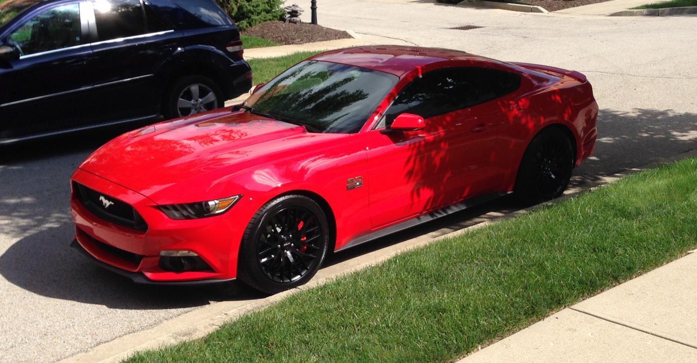Mustang 1.jpg