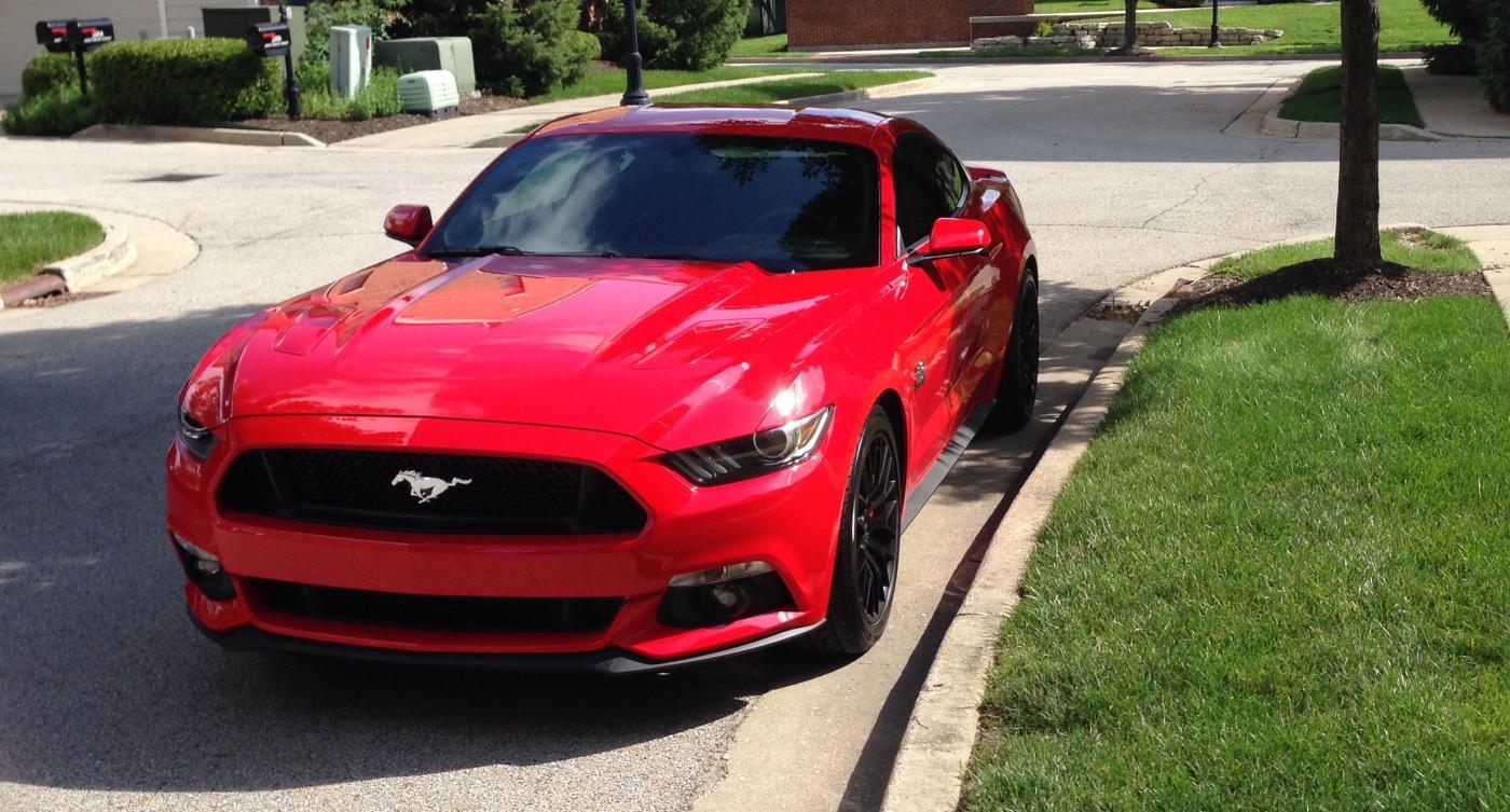 Mustang 2.jpg