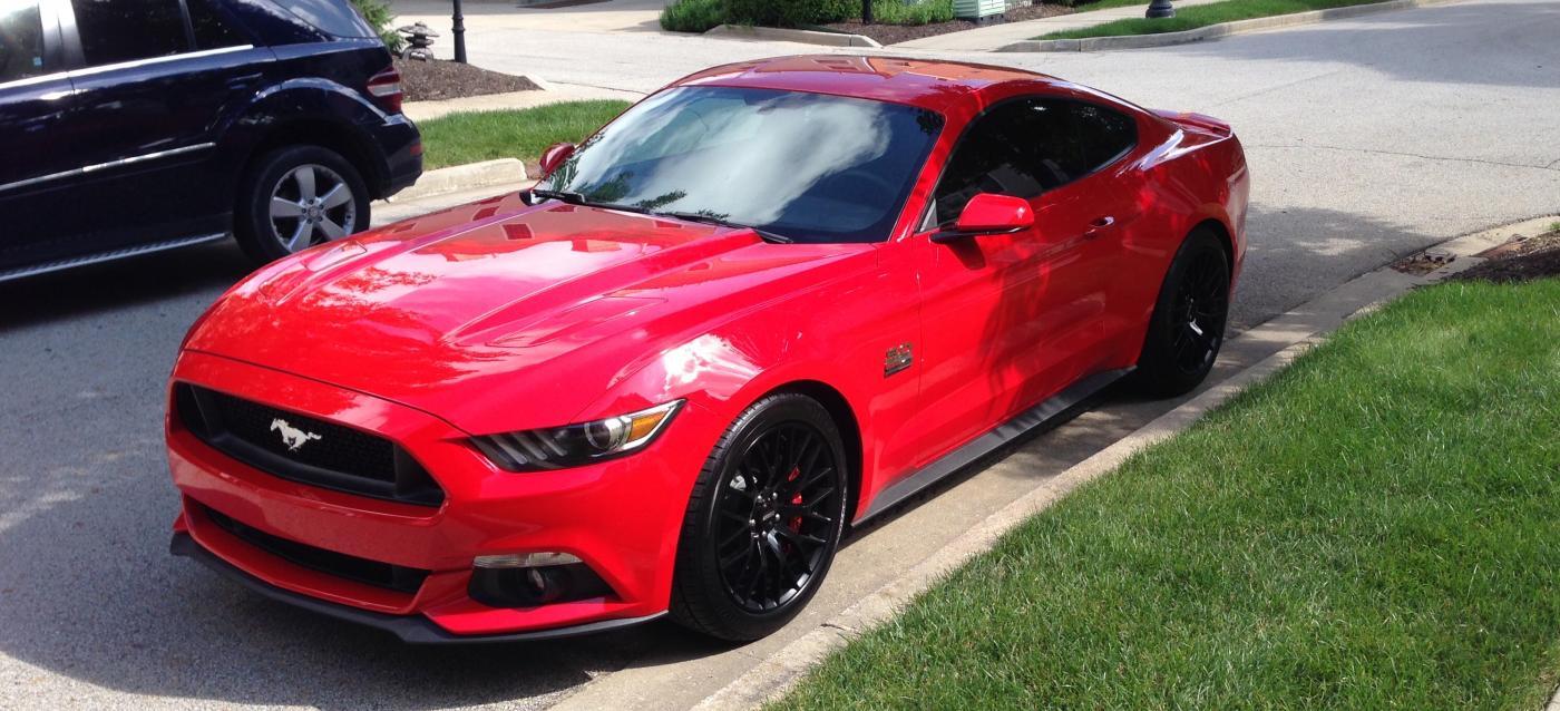 Mustang 3.jpg