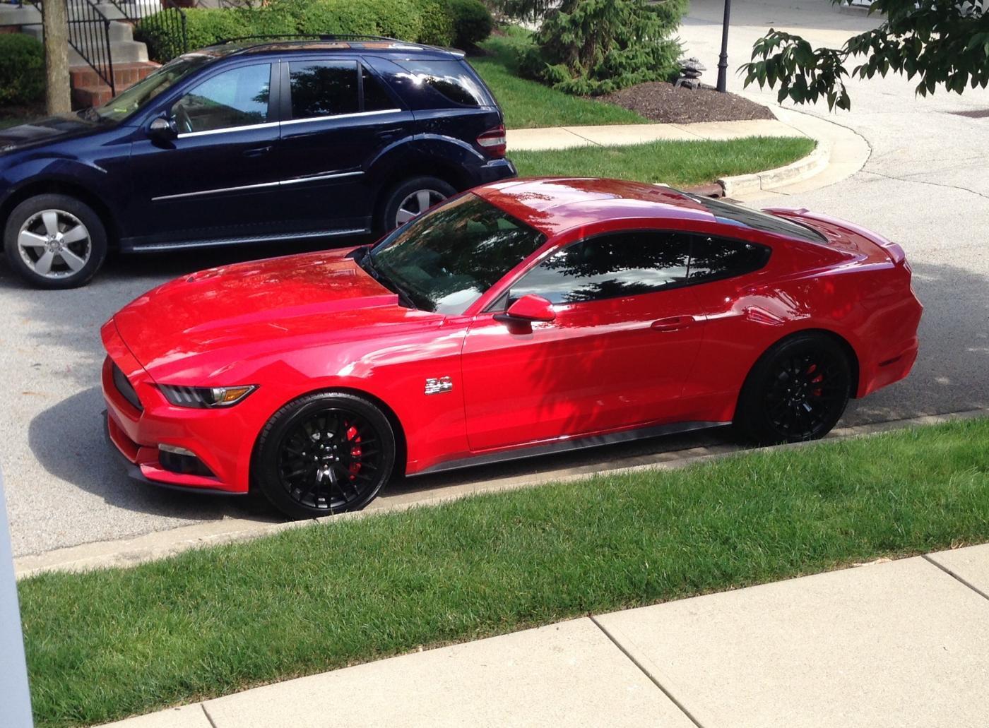 Mustang 4.jpg