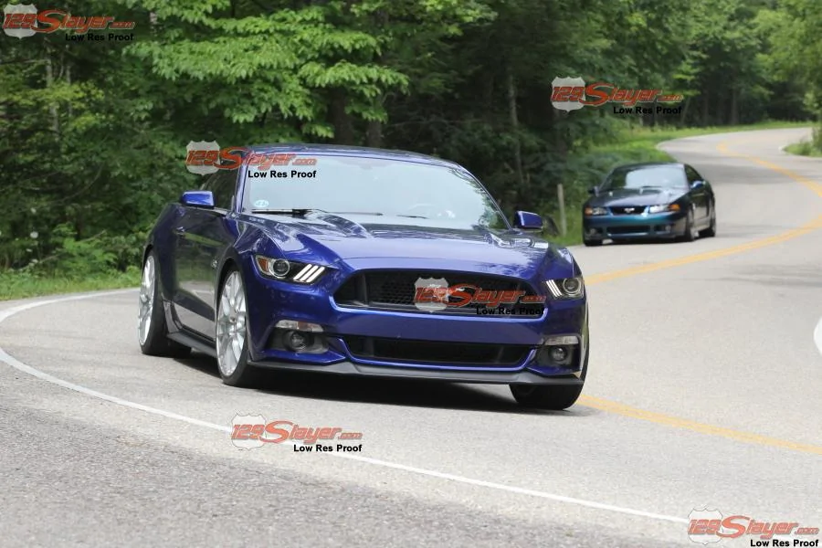 Mustangs.webp
