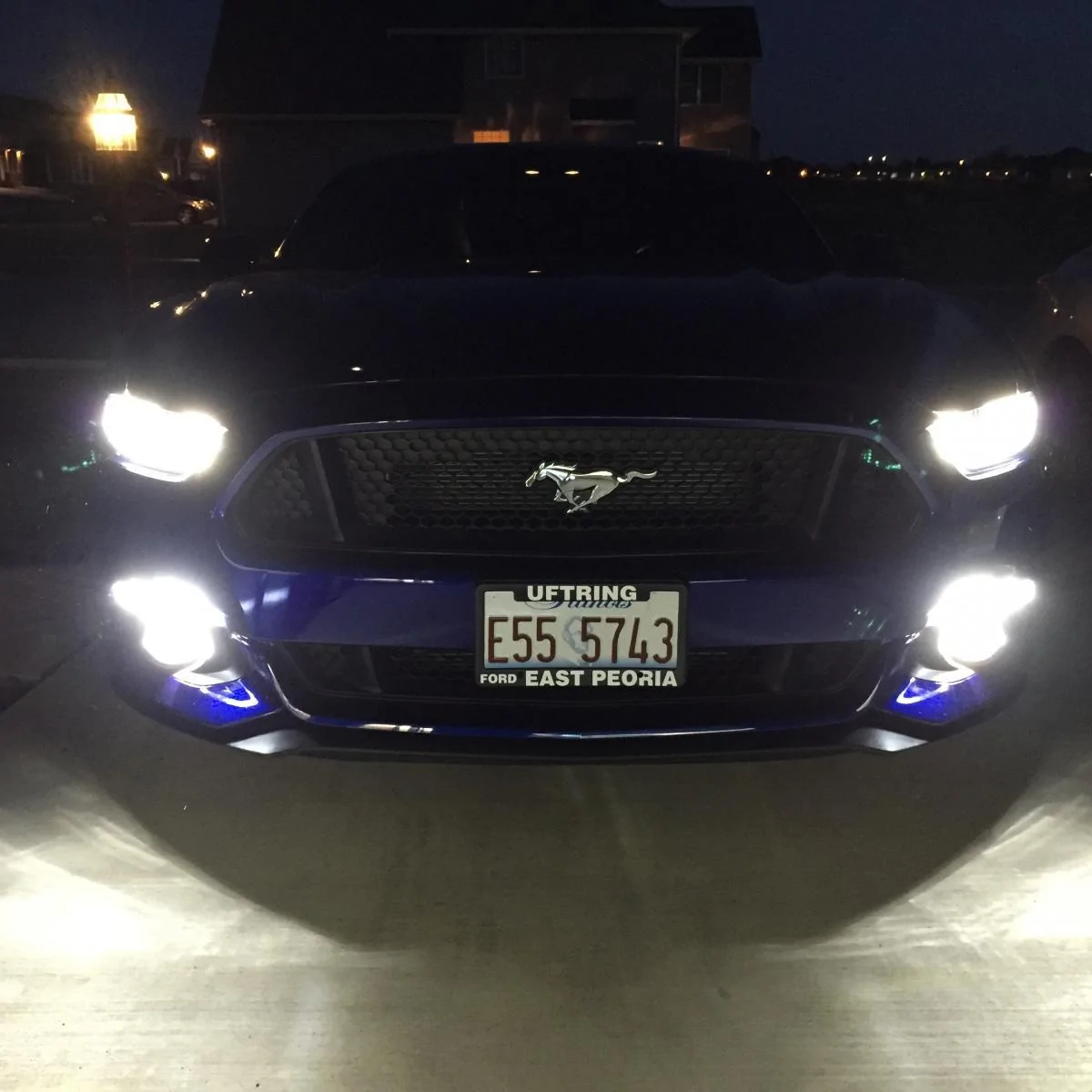 led switchbacks with fog lights.webp