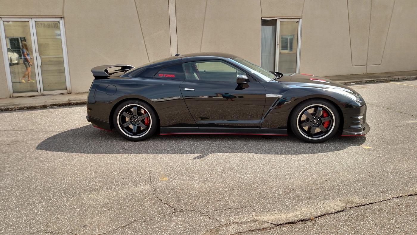 cavalli gtr4.jpg