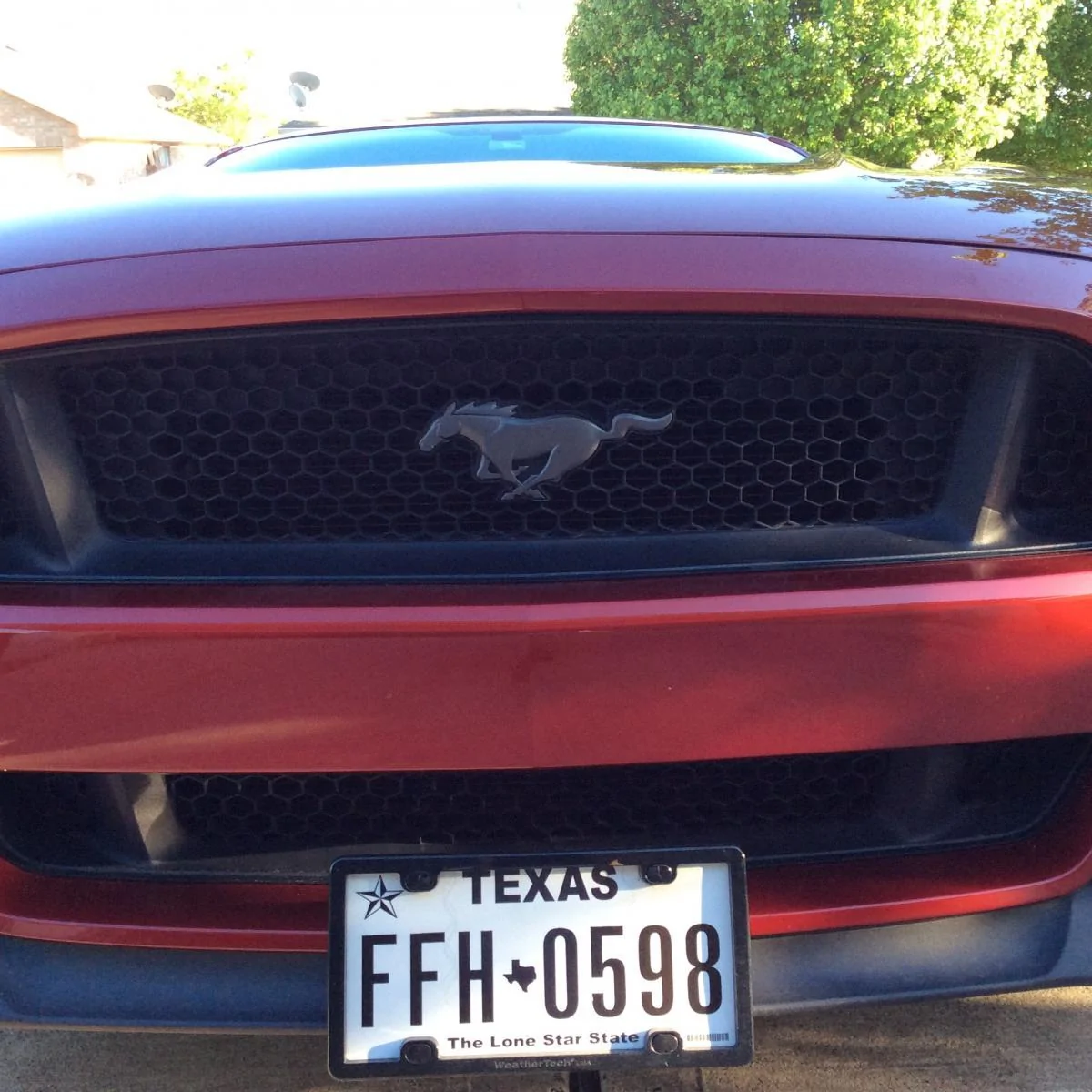 Anthracite Pony.webp