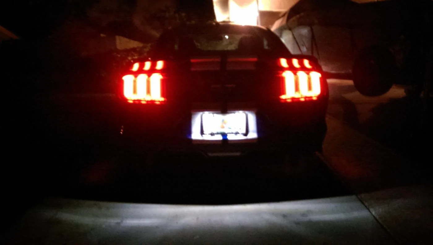 IMAG0739.webp