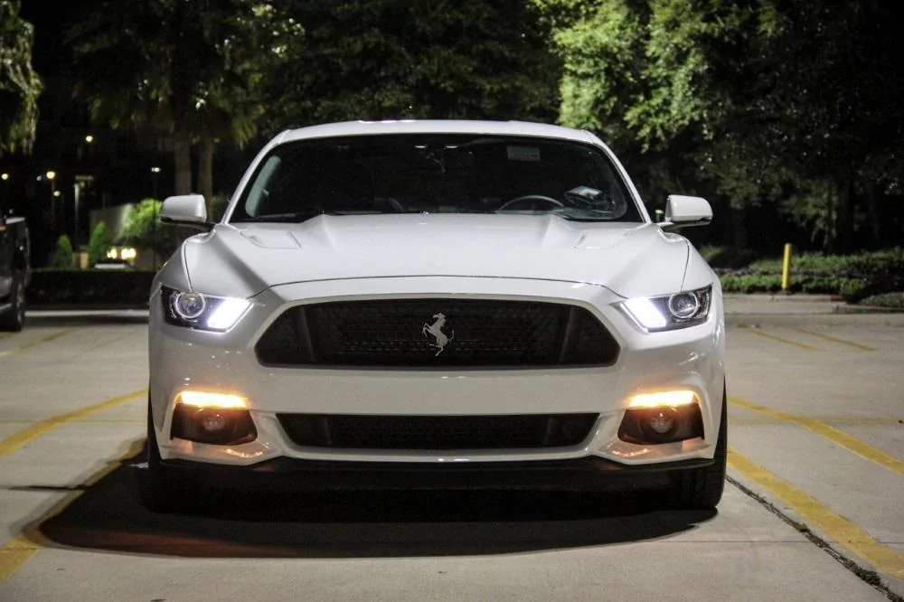 fstang.webp