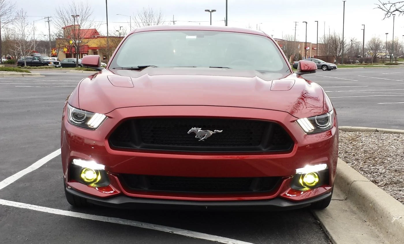 20150412_184229cropped.webp