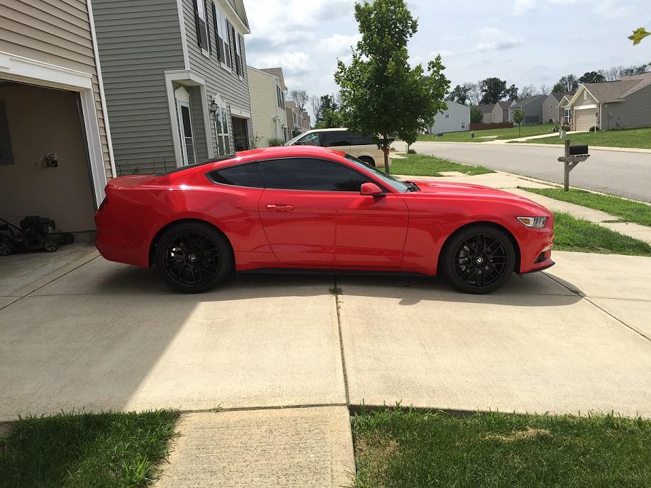 mustang resize 1.jpg