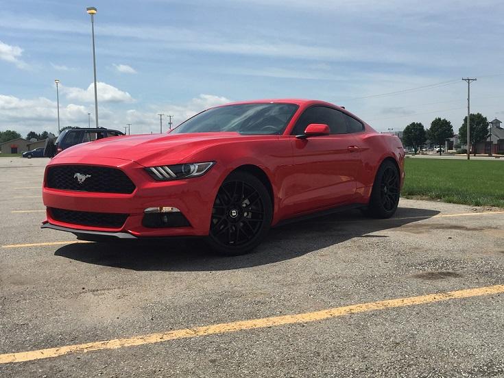 mustang resize 2.jpg