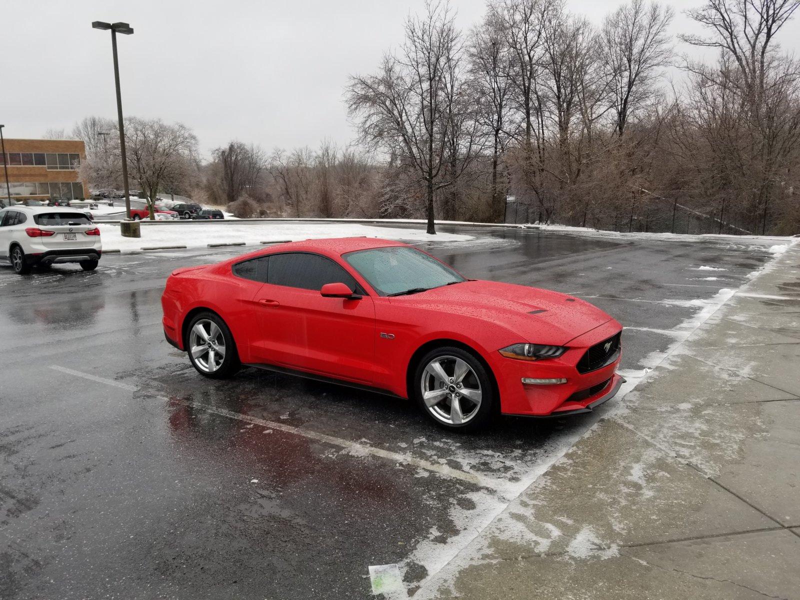 20190212_100643.jpg