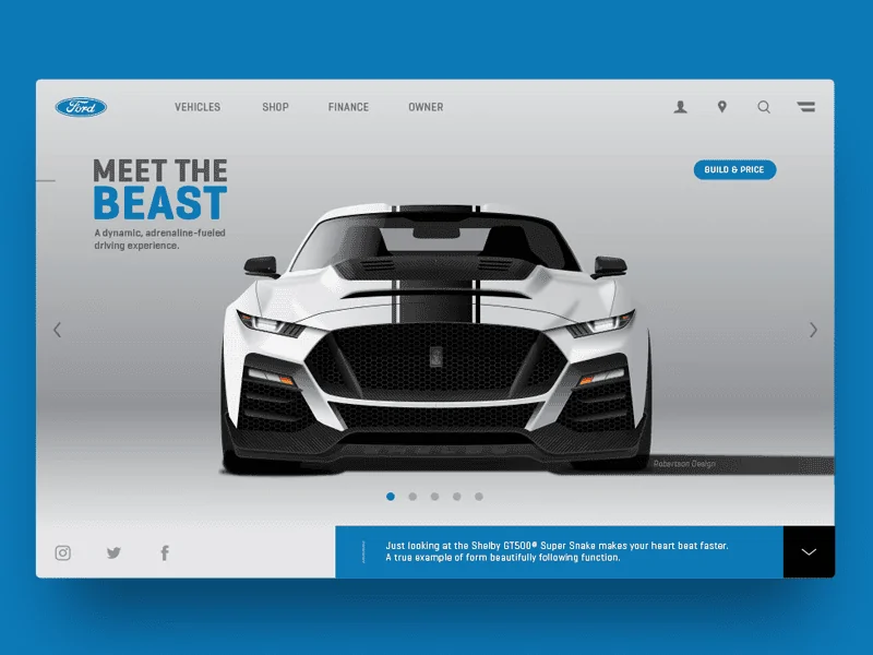shelby-dribbble-1.webp
