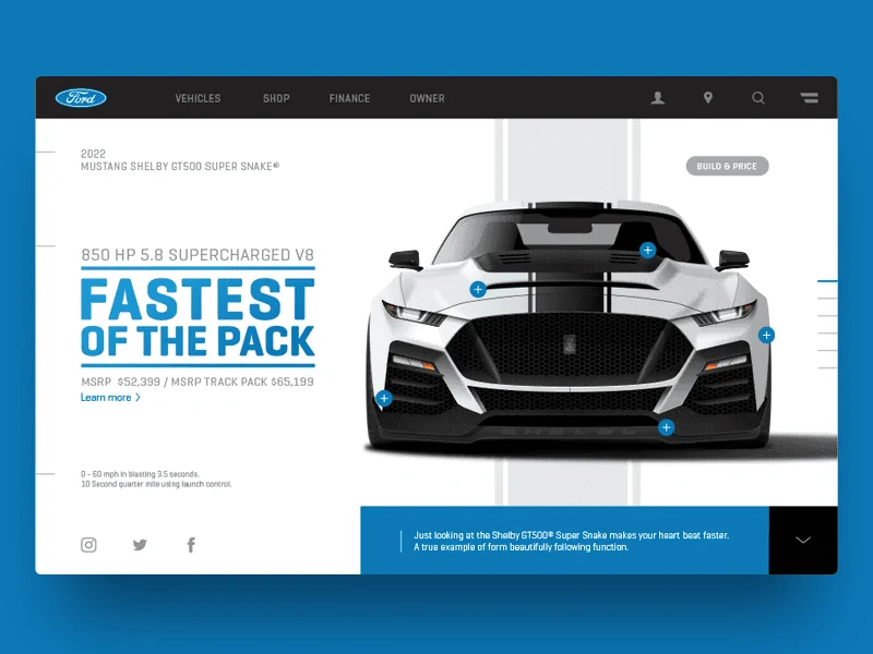 shelby-dribbble-3.webp