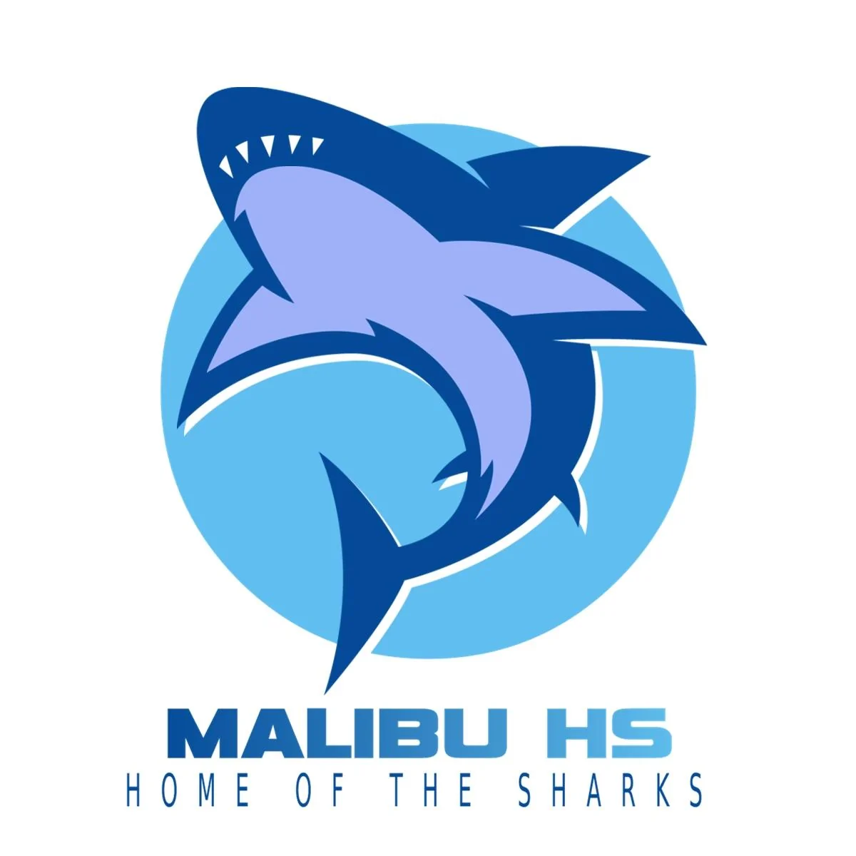 malibuhs1.webp