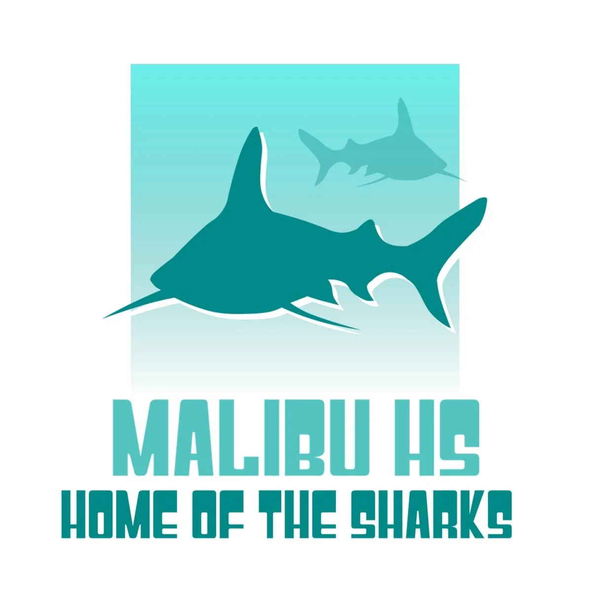 malibuhs2.webp