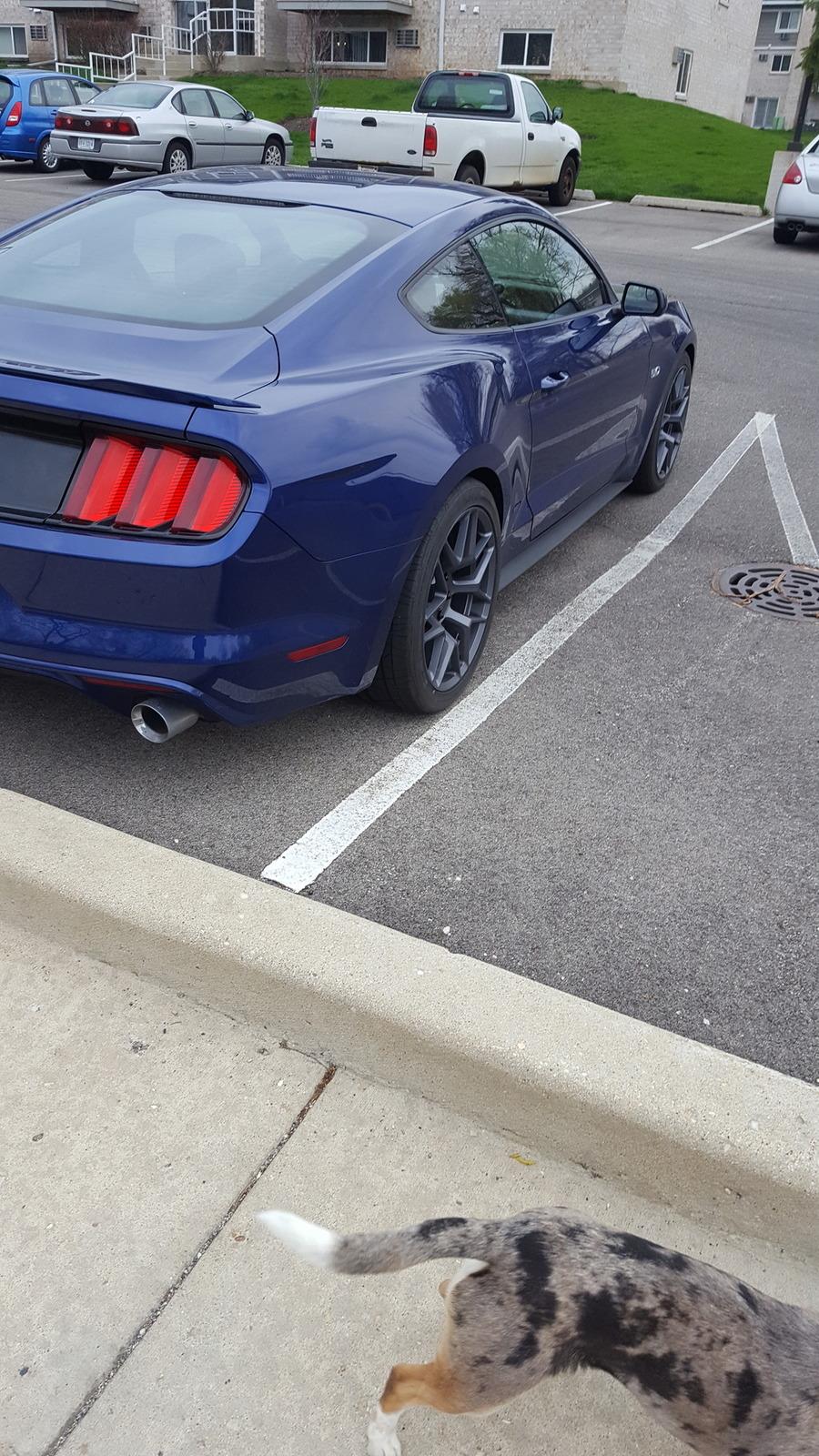20160419_181356_zpsvstckfci.jpg