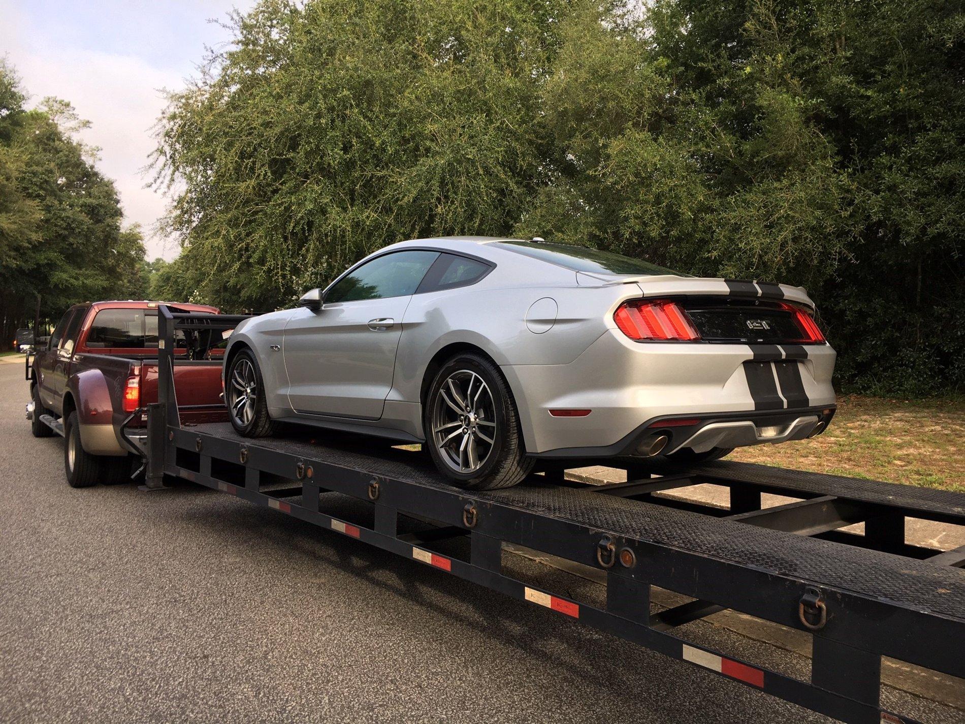 stang on trailer.jpg