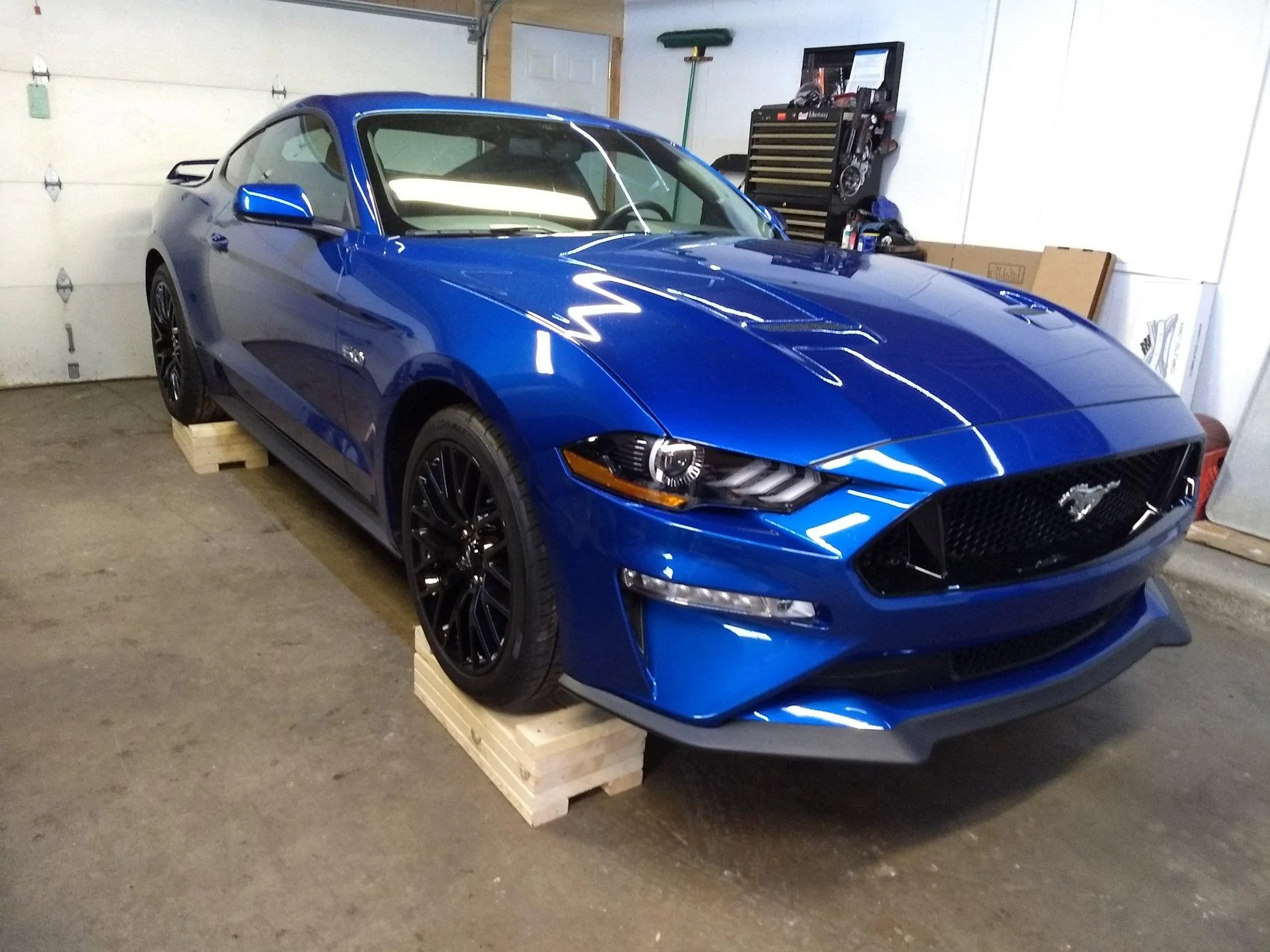 IMG_20190207_145022644.webp