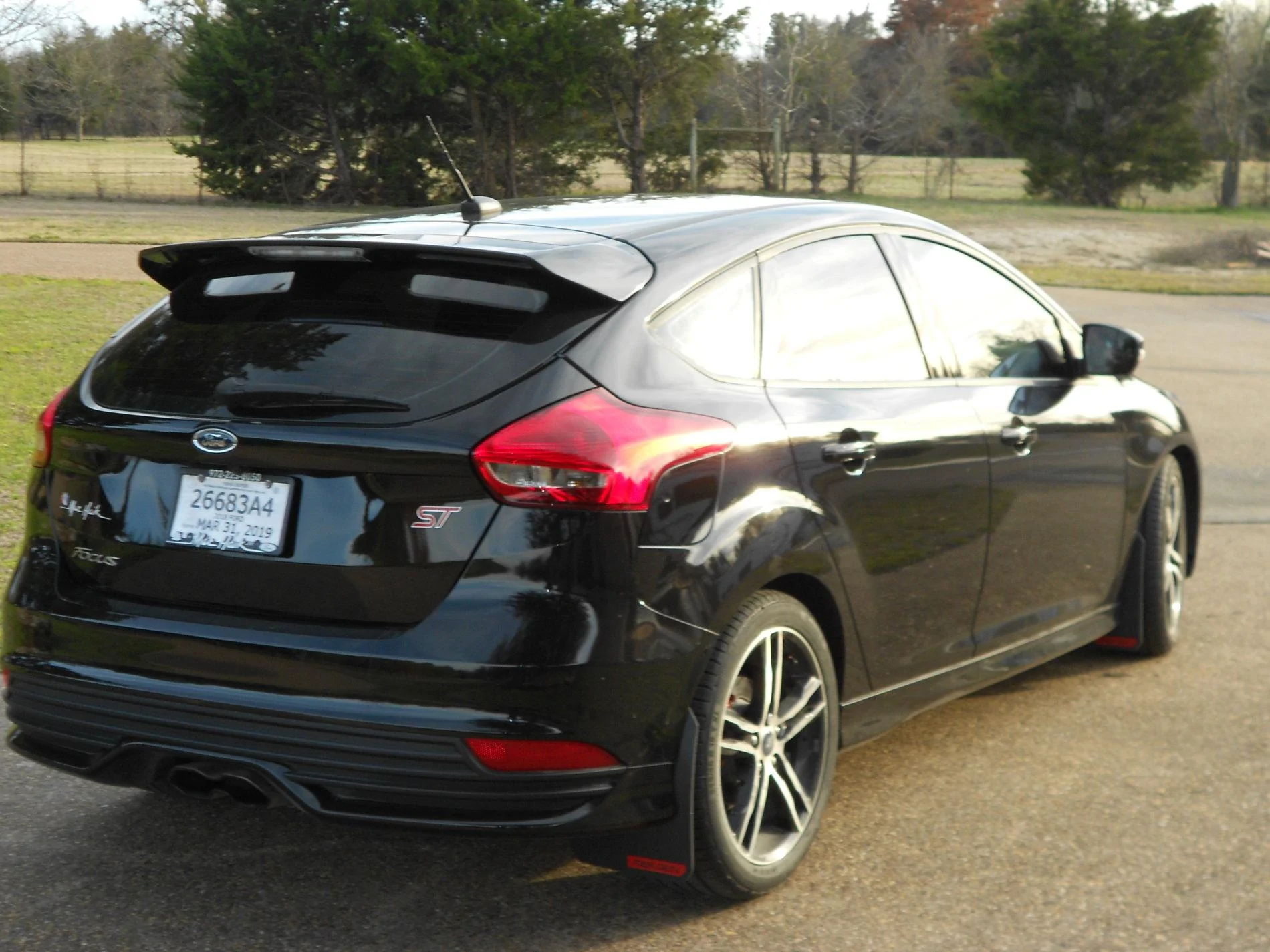 DSCN1253.webp
