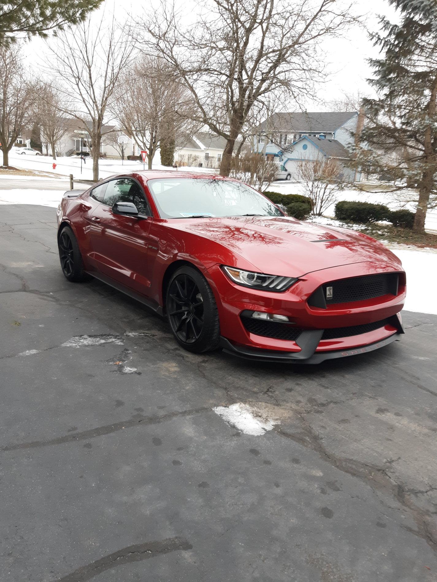 20190216_155005.jpg