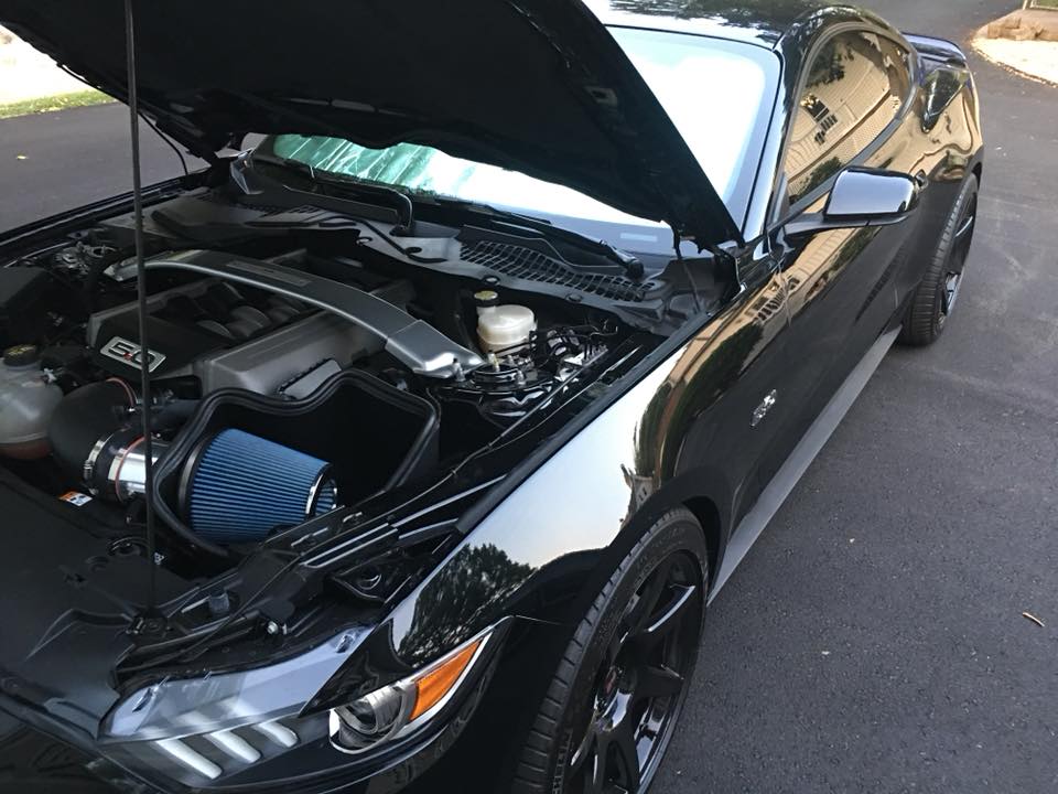 mymustang.jpg