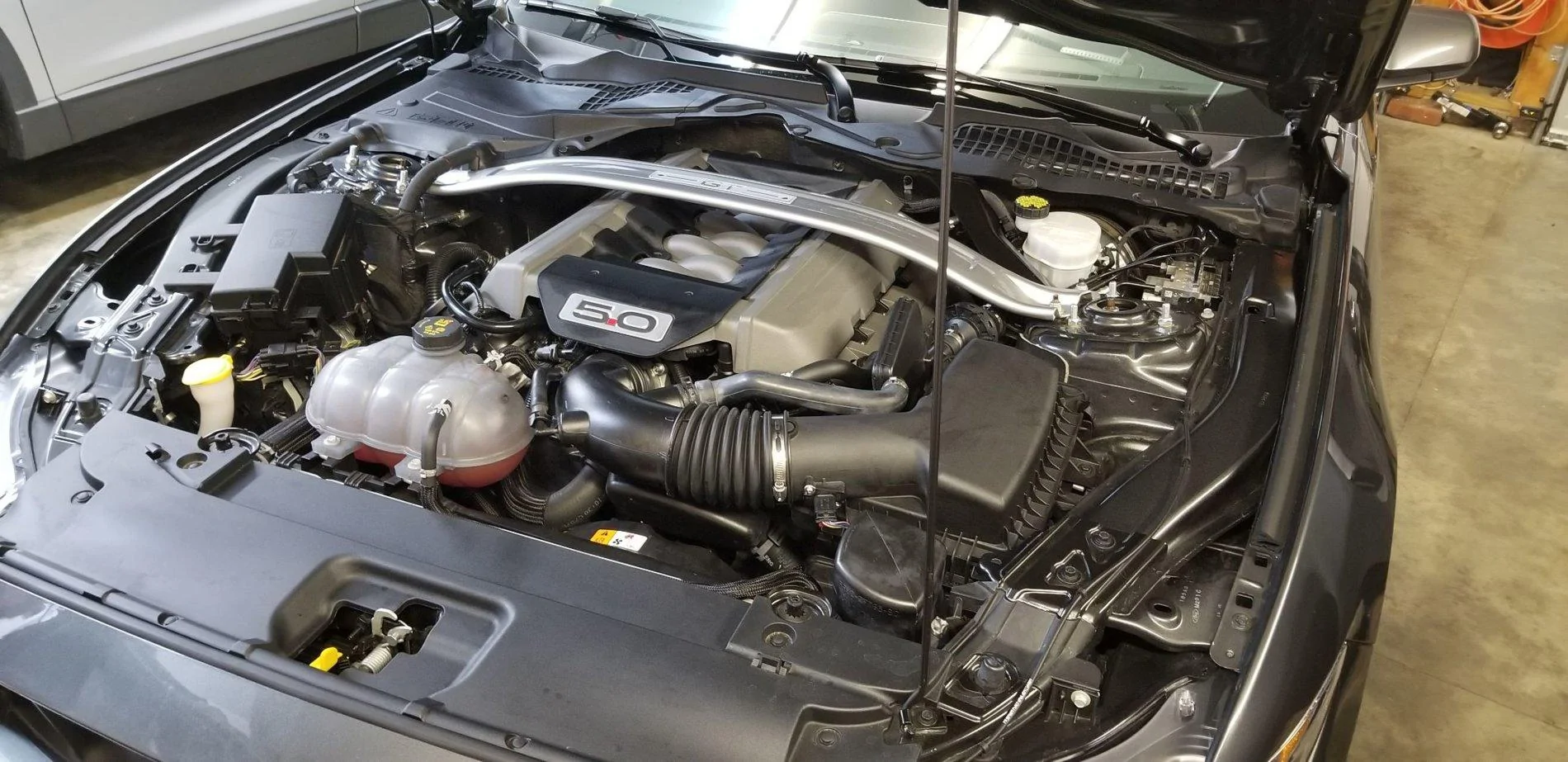mustang_underhood.webp