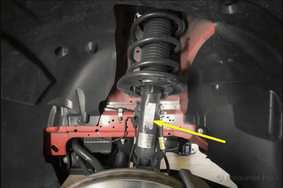 Edmunds PP1 Strut.webp