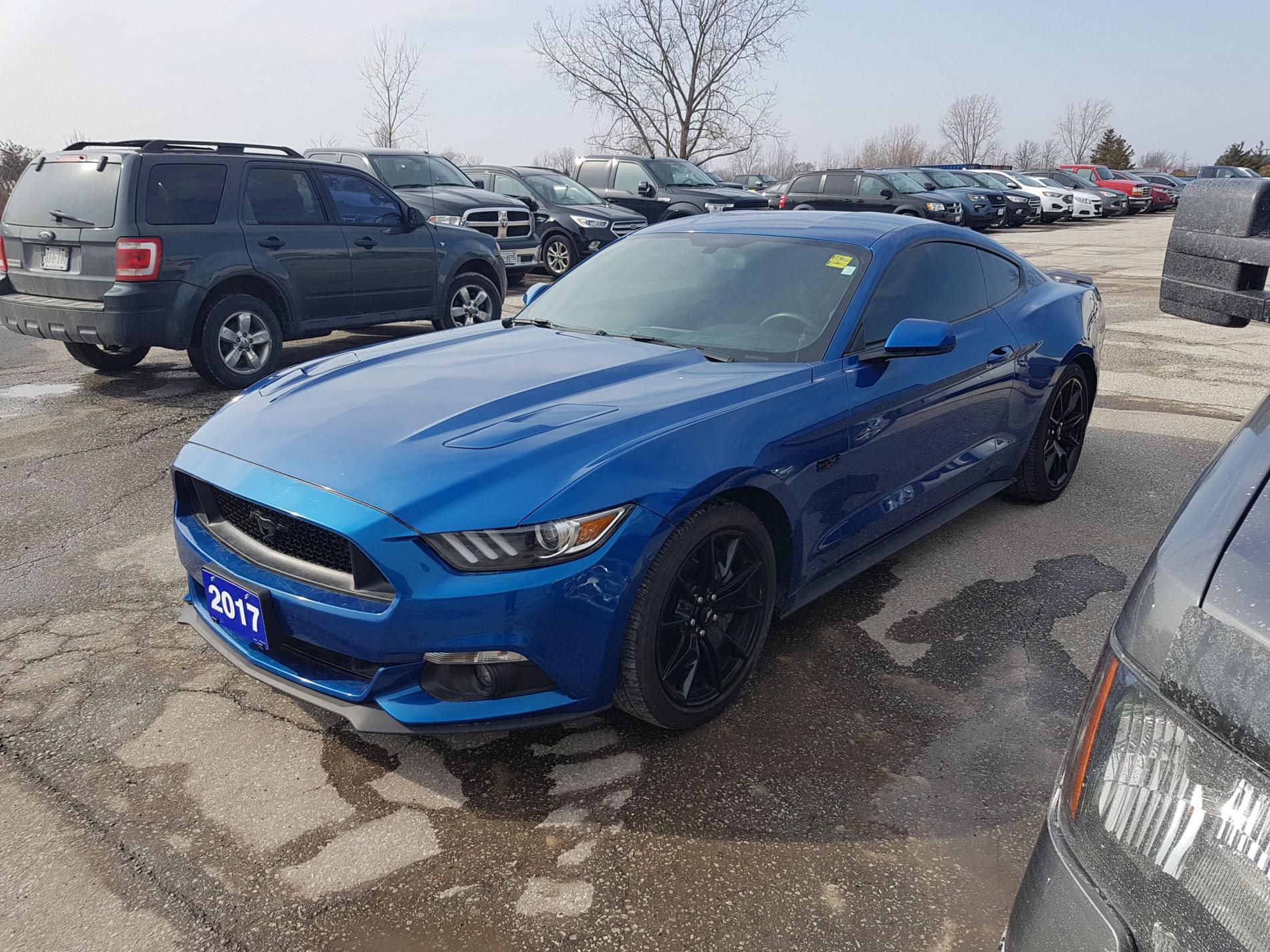 20190222_134253.jpg