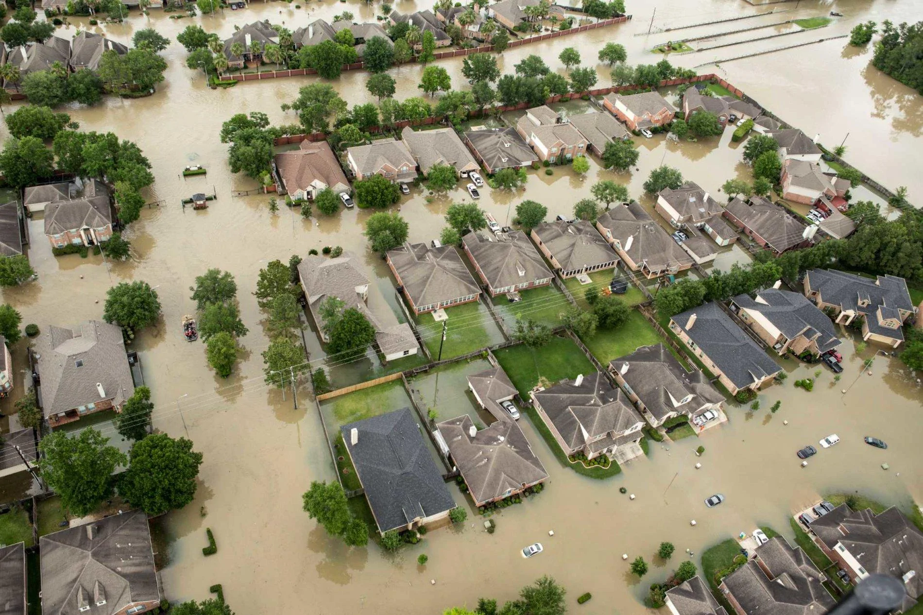 Houston2.webp