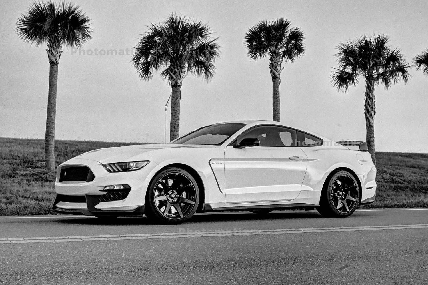 gt350rhdr1.jpg