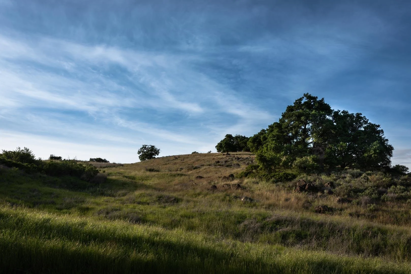 D81_0007.webp