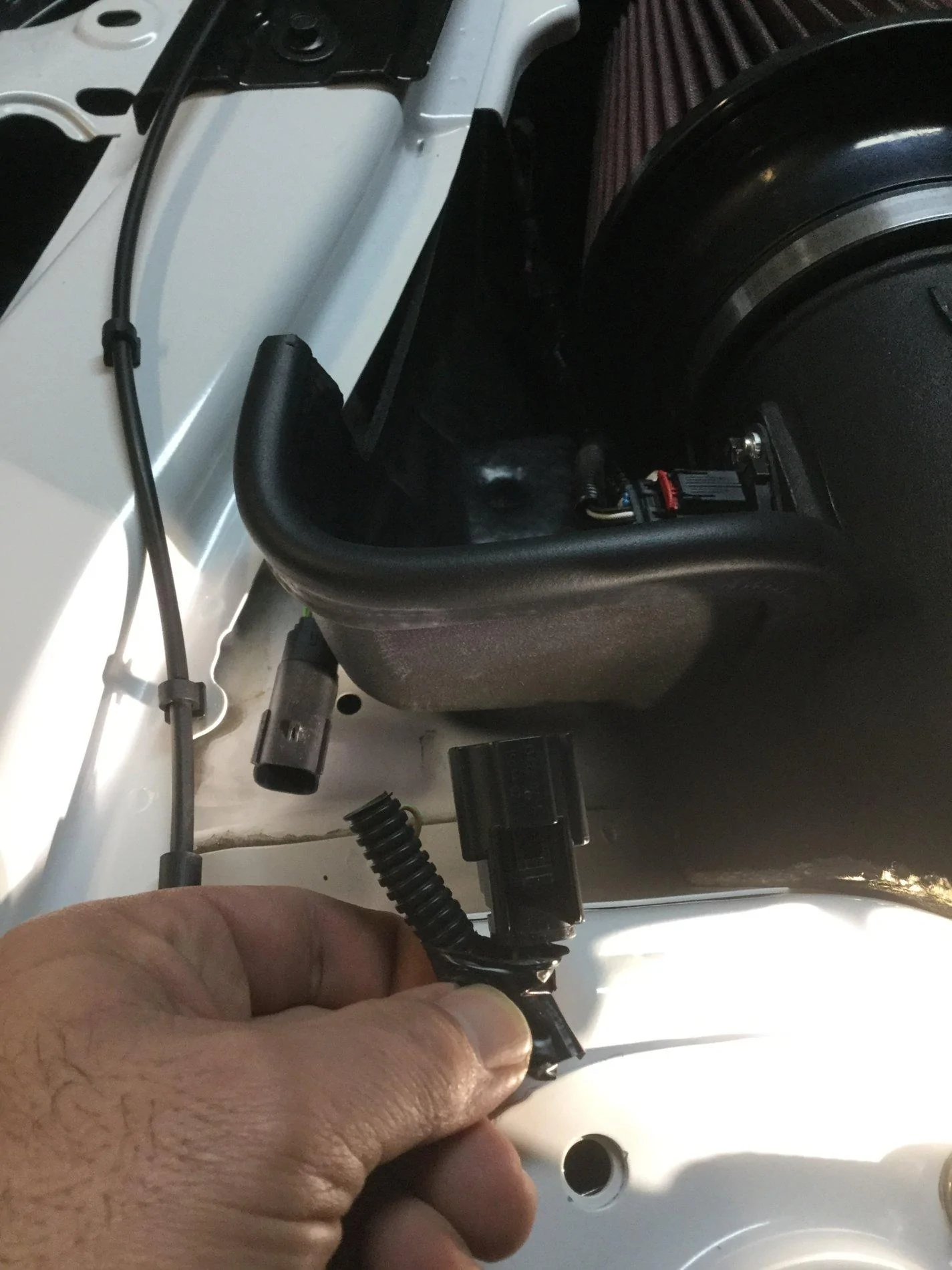 9E017C22-FC95-4974-AB3B-9BB8D84E2907.webp