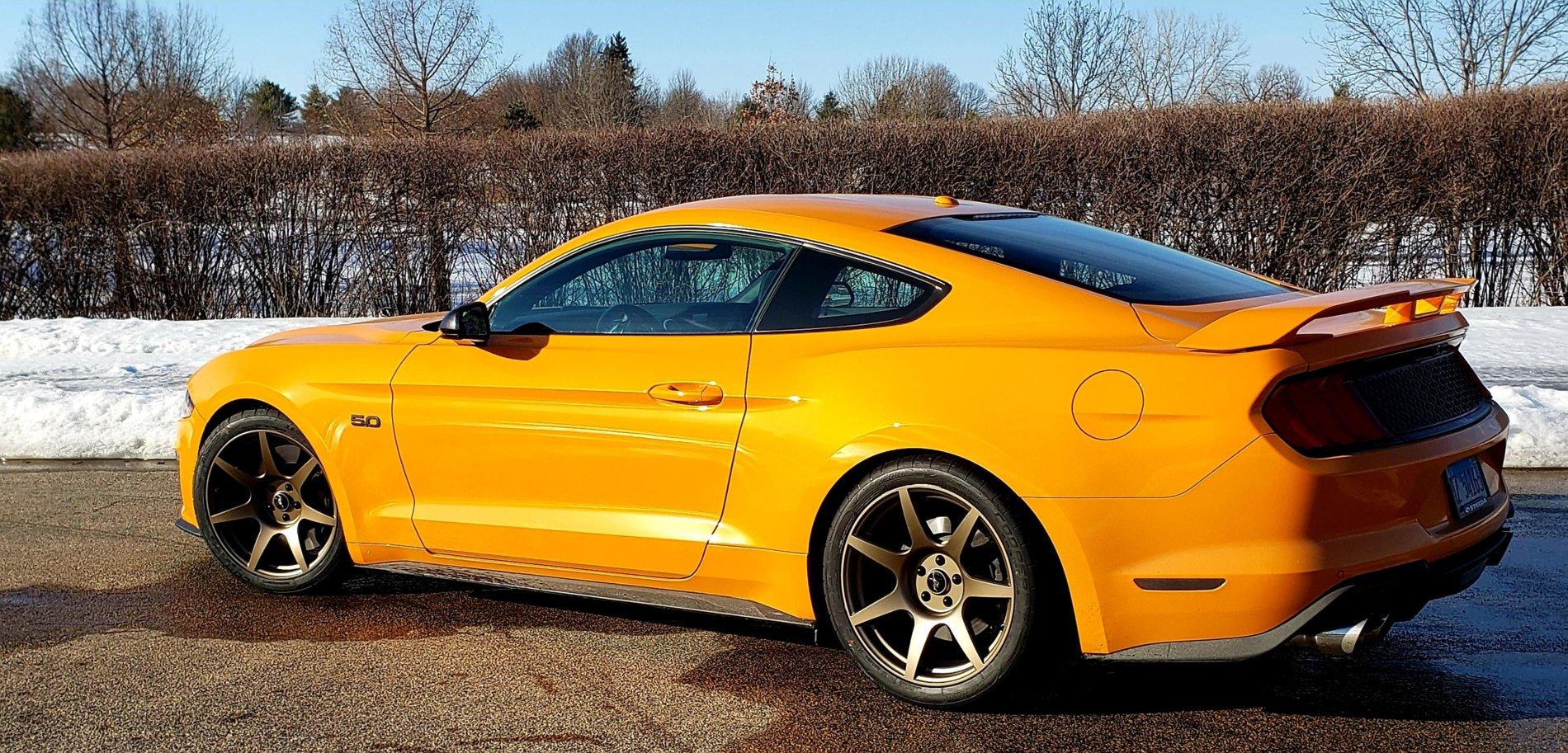 SVE 350.jpg