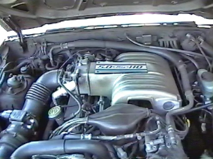 Mustang_5.0_LX_2.webp
