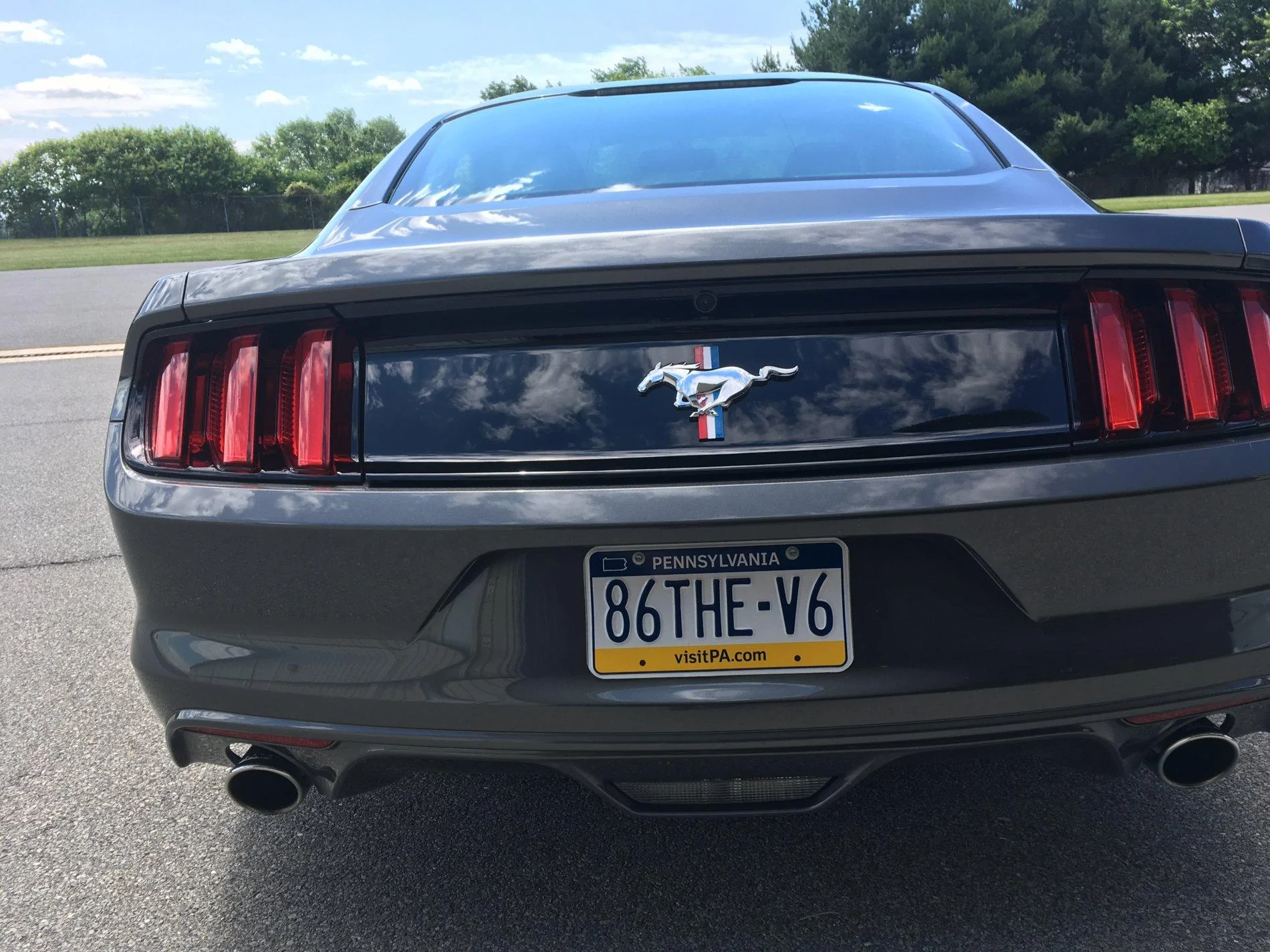 pony.2.webp