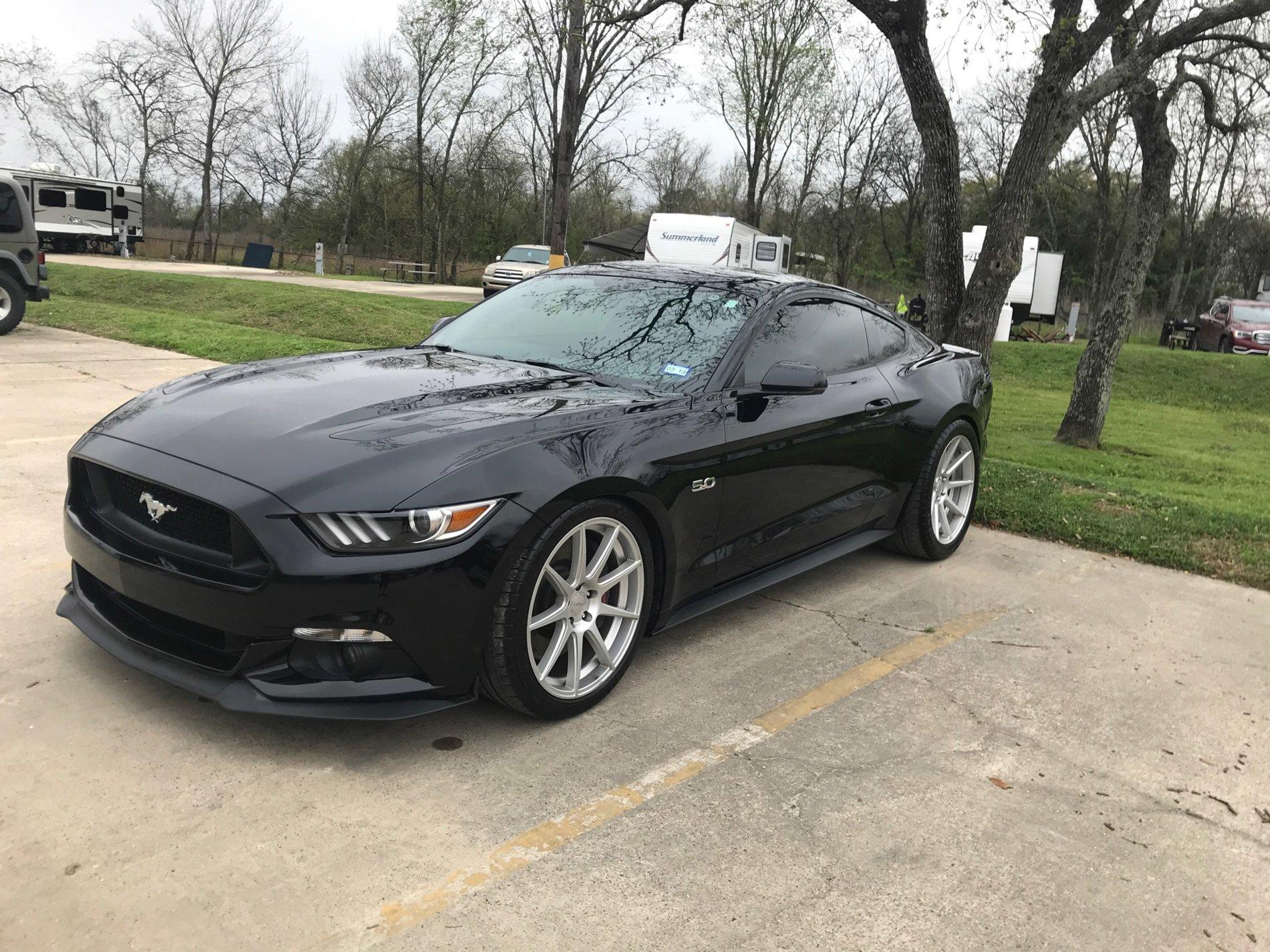 Stang.jpg