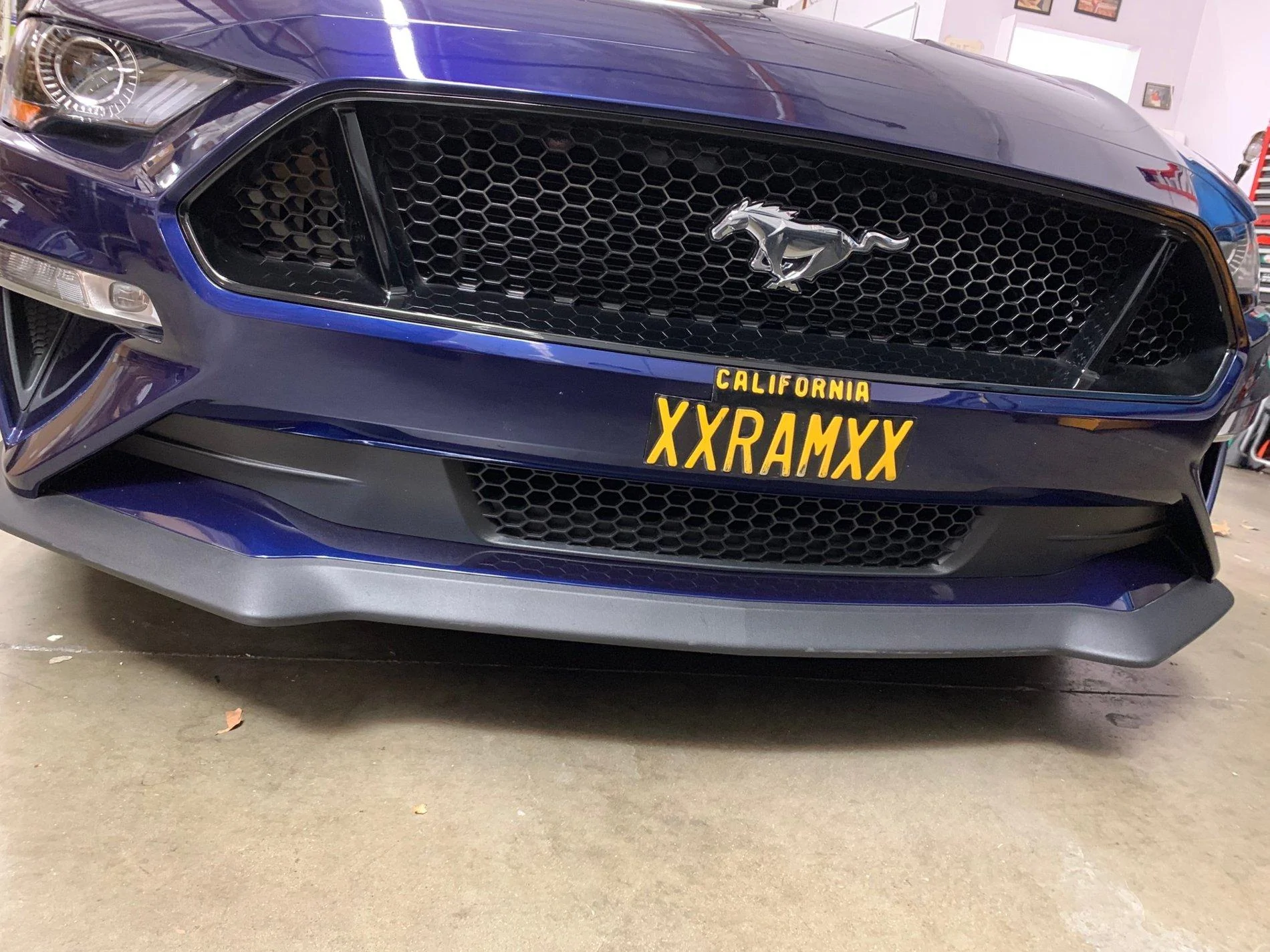 Mustang Lic Plate.webp