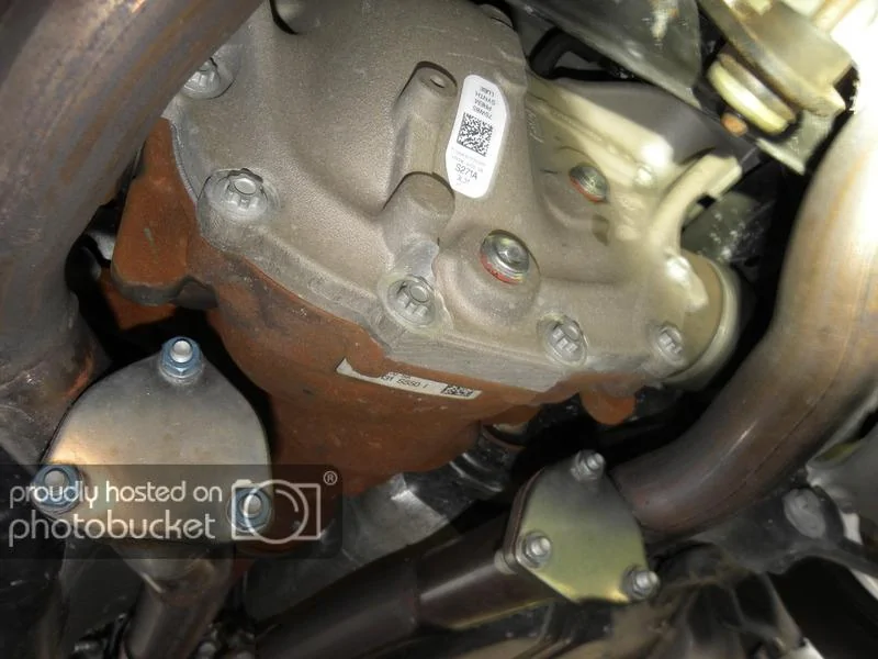 DSCN0600.webp