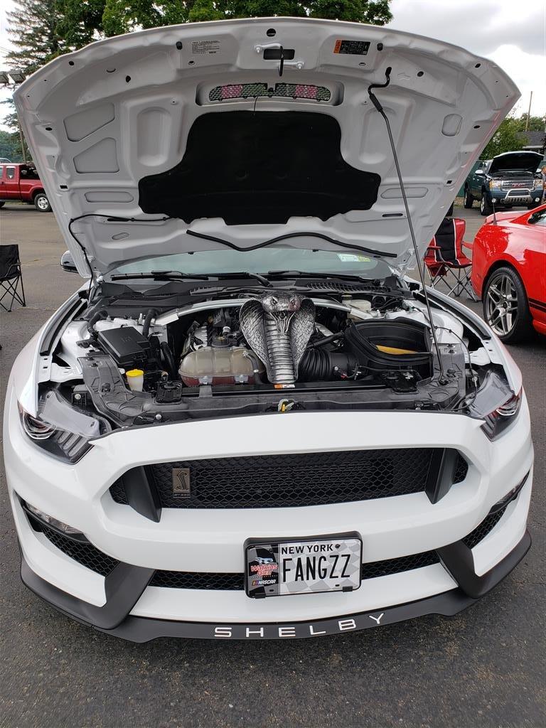 20180818_161859 (Medium).jpg