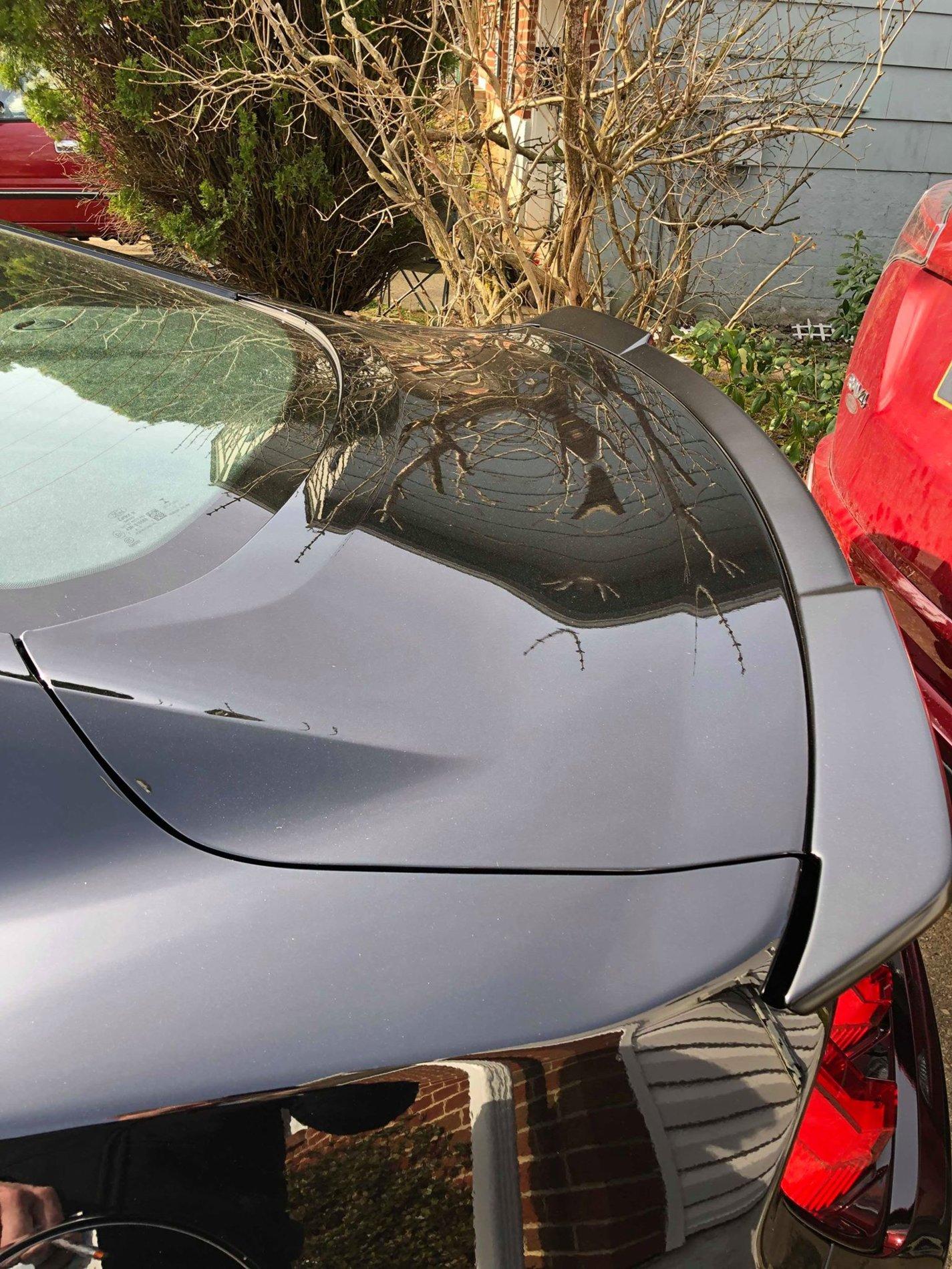 trunk3.jpg