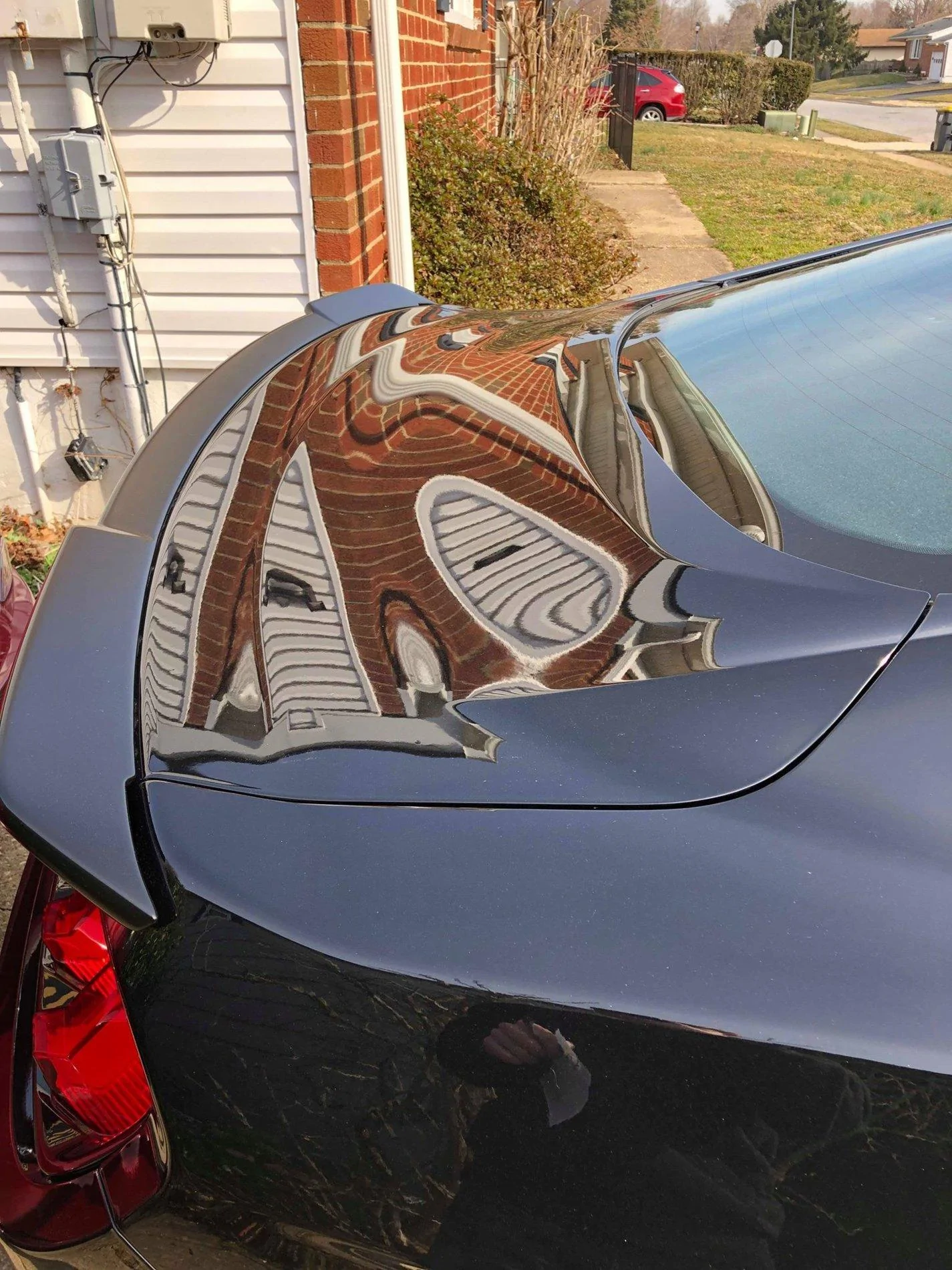 trunk2.webp