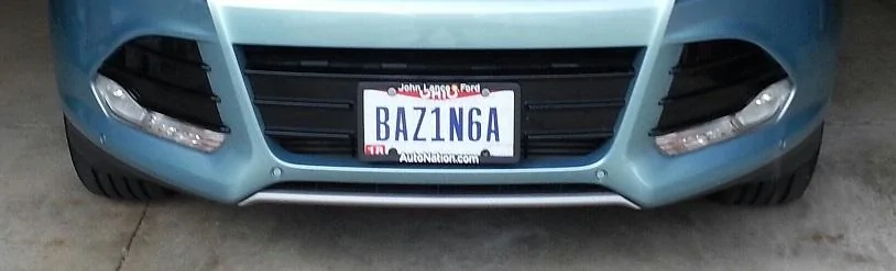 bazinga plate.webp