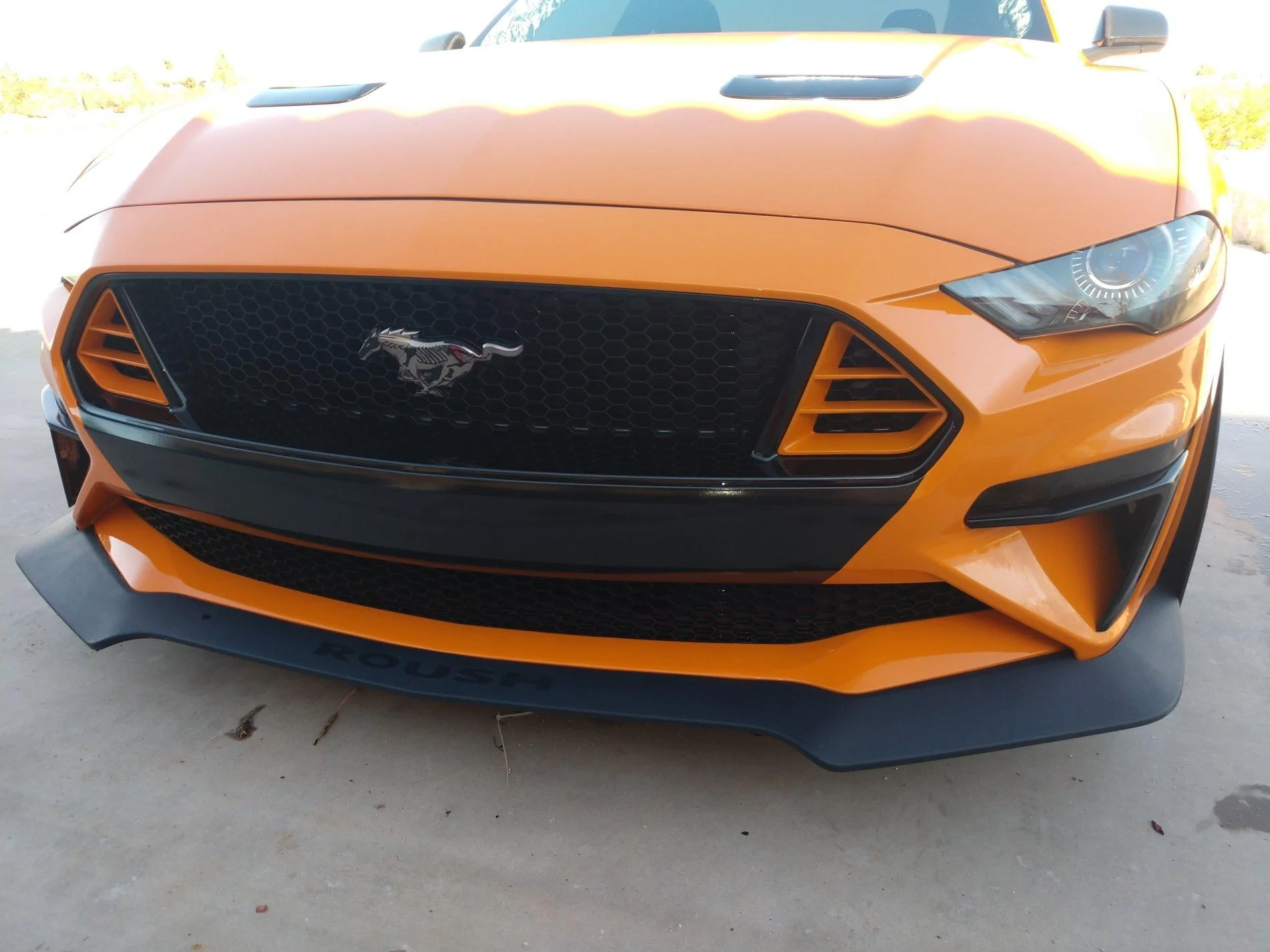 IMG_20190316_164454117.webp