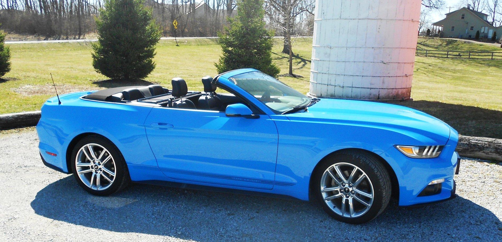 Mustang 1.JPG