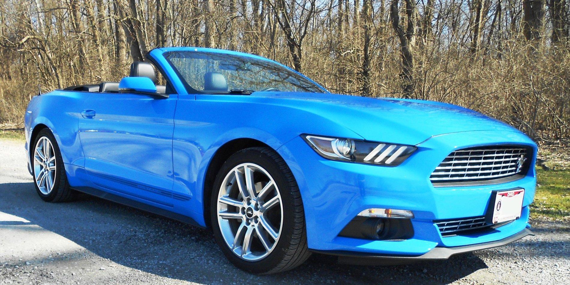 mustang 3.JPG