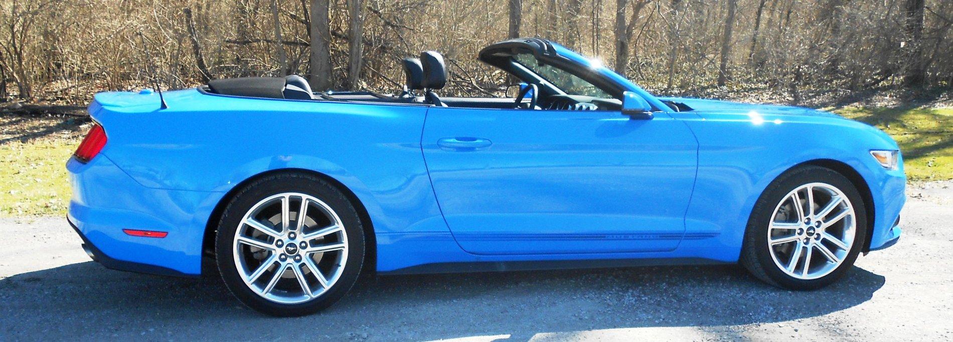 mustang 5.JPG