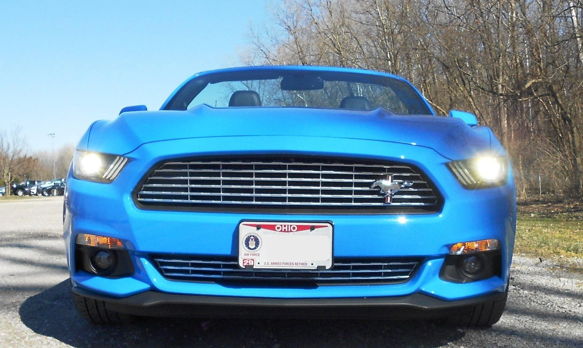 mustang 7.webp